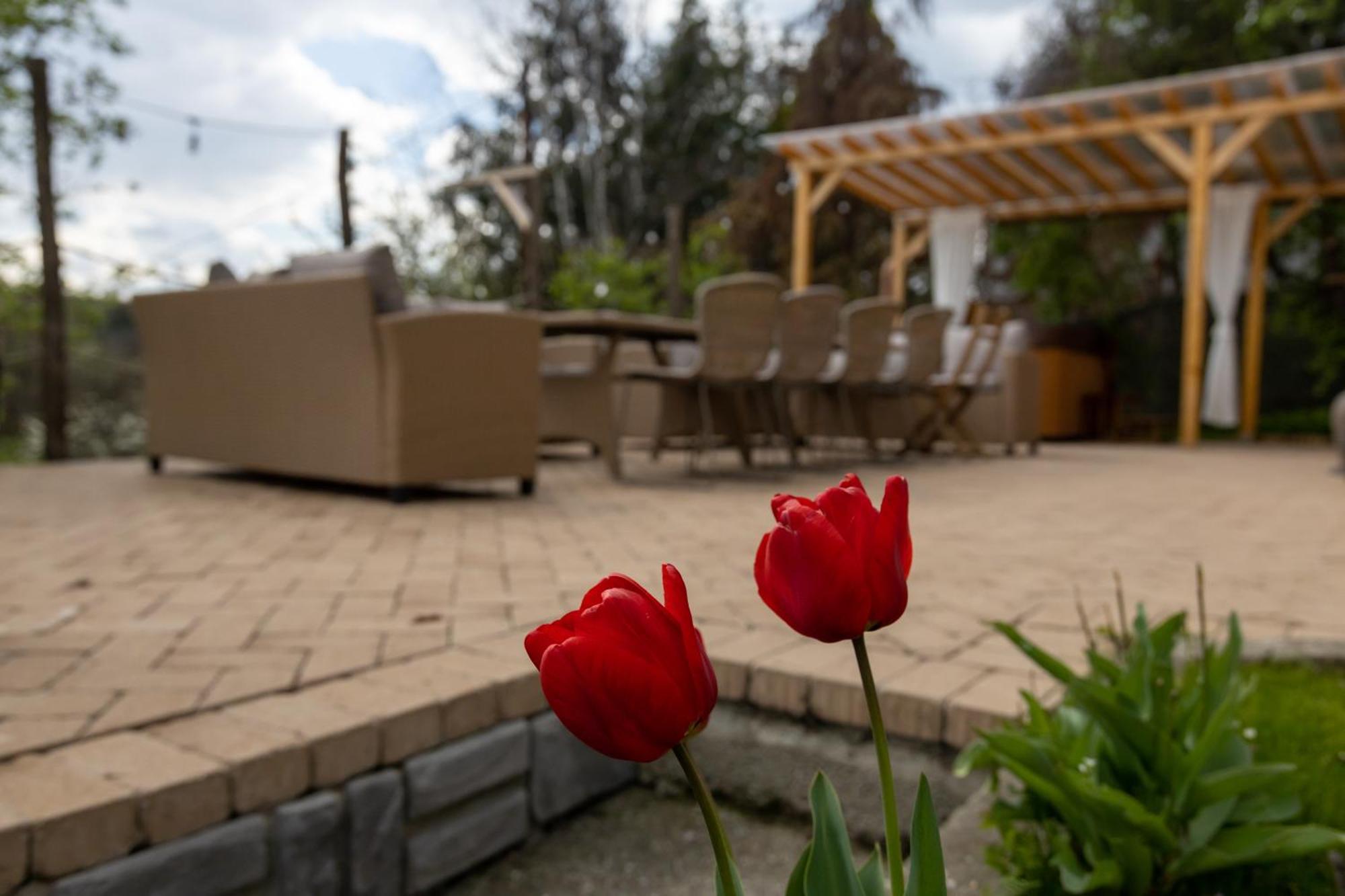 Egercottages - Bikaver Cottage Zewnętrze zdjęcie